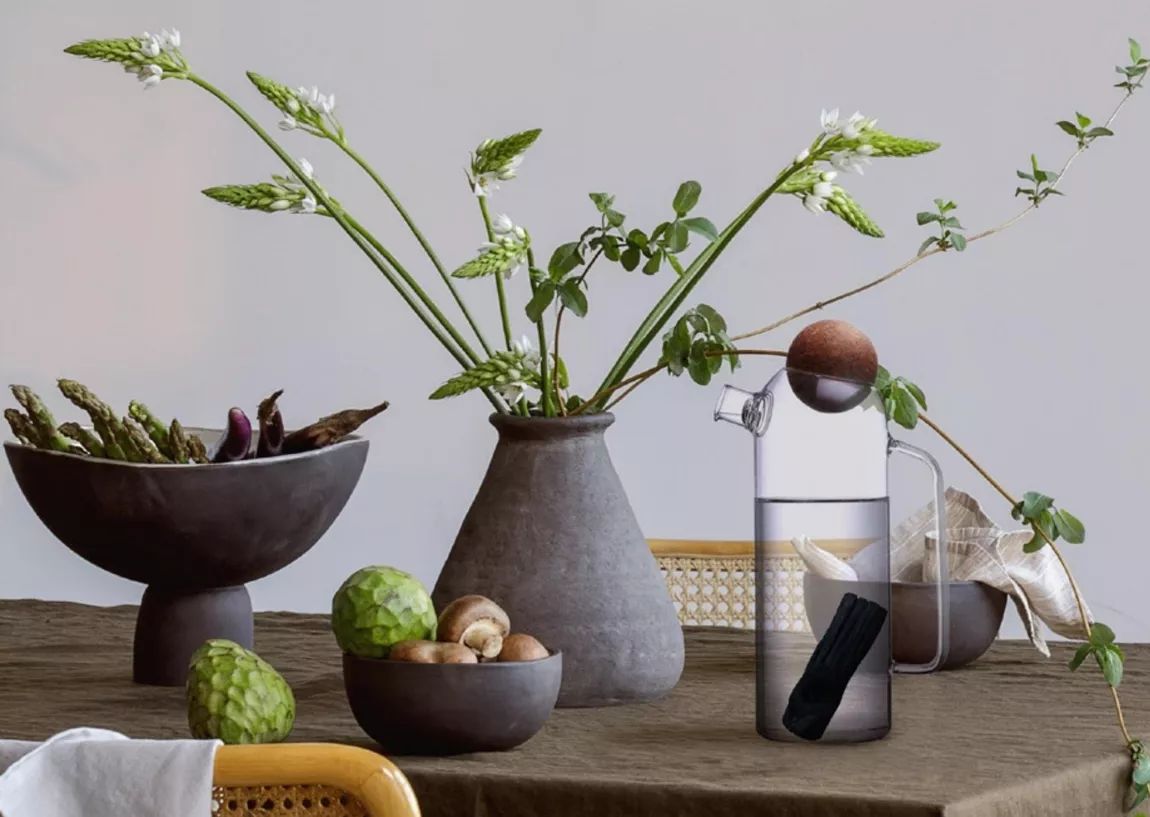 Carafe filtrante (style élégante) au charbon actif végétal Français + 1 charbon Binchotan